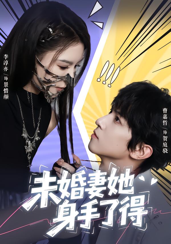 未婚妻她身手了得(全集)