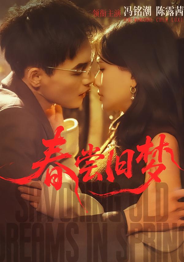 春尝旧梦 第28集