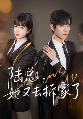 陆总，她又去拆家了 第01集