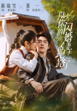 陆少，你的闪婚妻子又跑路了 第73集(大结局)